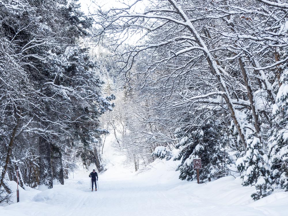Hiking in Salt Lake City's Millcreek Canyon