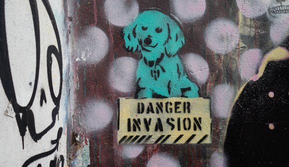 See Great Buenos Aires Street Art in 4 Colorful Neighborhoods Buenos Aires street art cute dog stencil
