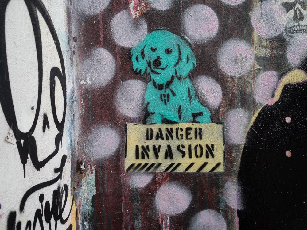 Buenos Aires Street Dog Stencil