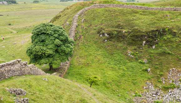 Sycamore Gap Hadrian's Wall Path