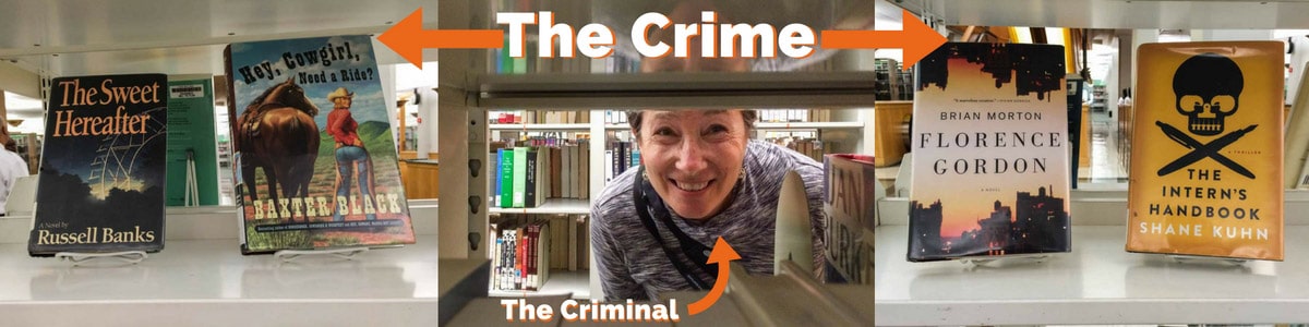 Literary Crimes in Chicago