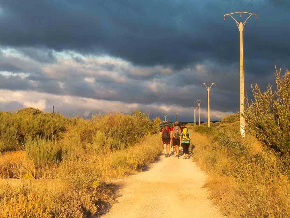 Camino Hikers AM