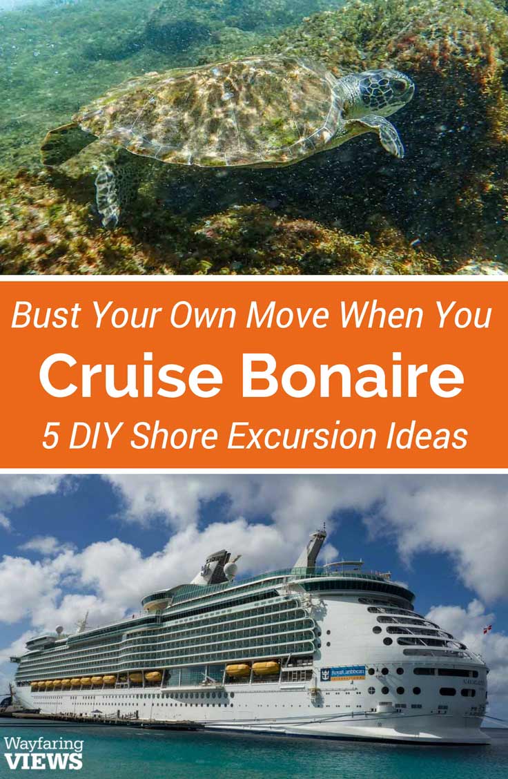 Break out at the Bonaire cruise port and create your own DIY shore excursion. The island is easy to explore on foot, with a bike or in a car.