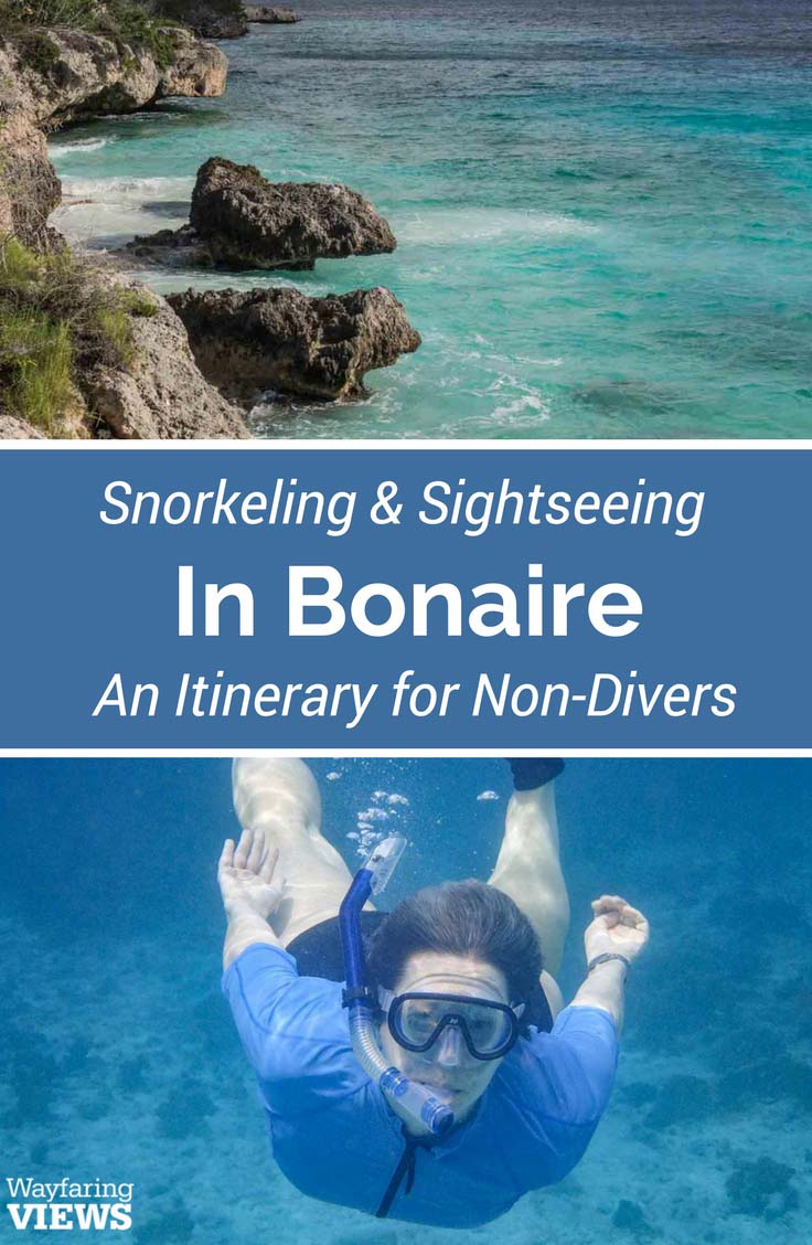 These top things to do in Bonaire are perfect for non-divers. Go sightseeing and snorkeling in Bonaire with this alternative itinerary.