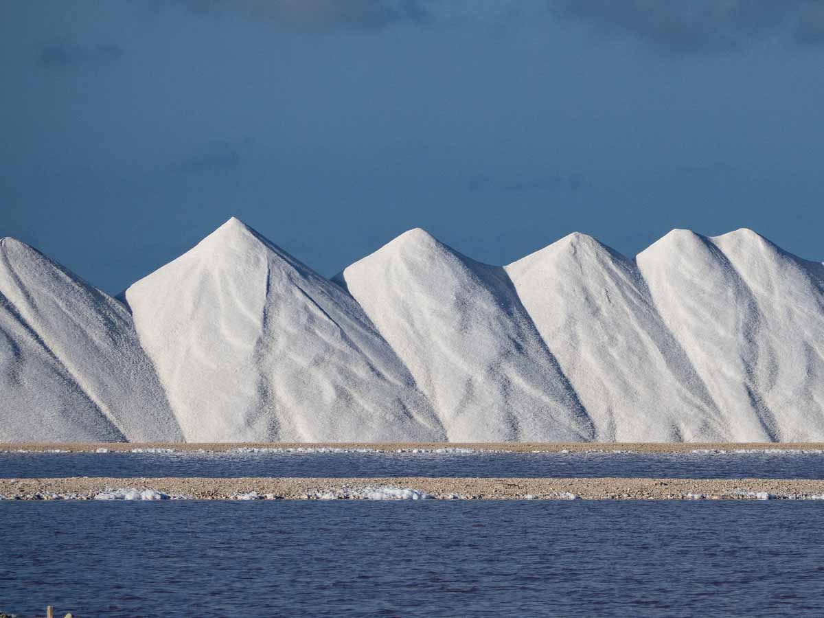 Things to do in Bonaire- Salt Ponds