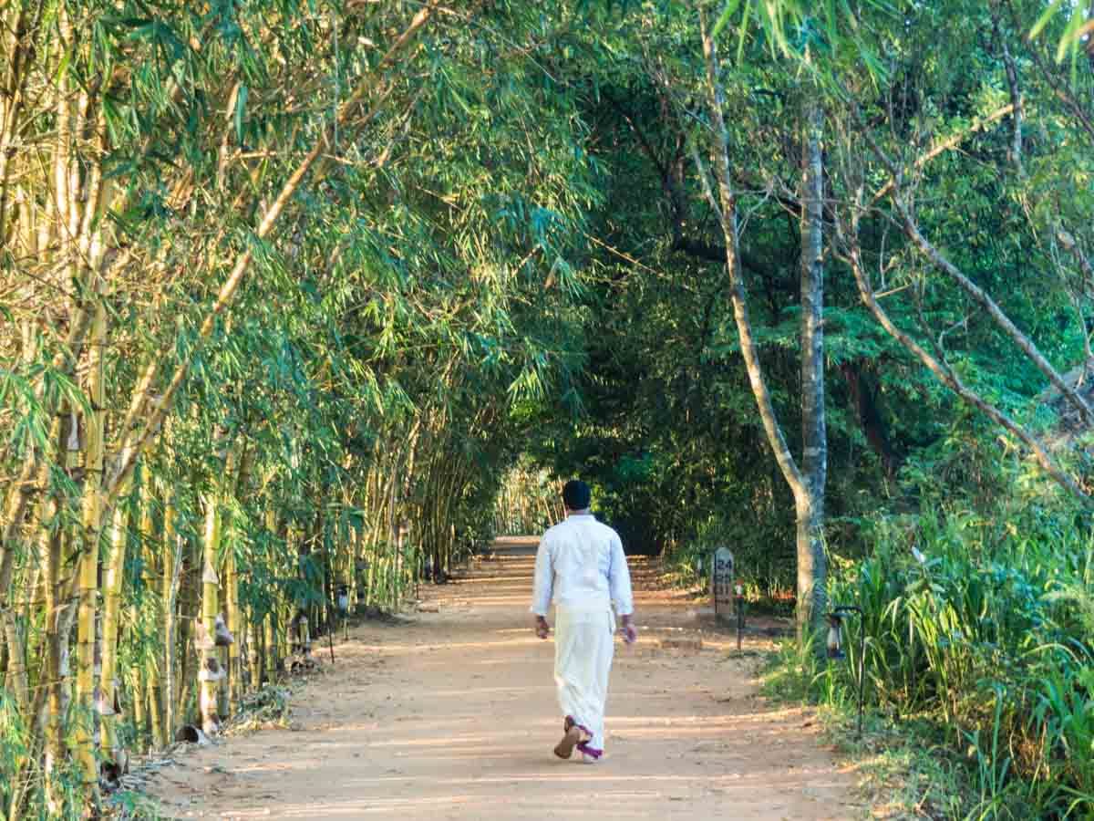 Vil Uyana Hotel Sri Lanka Pathway
