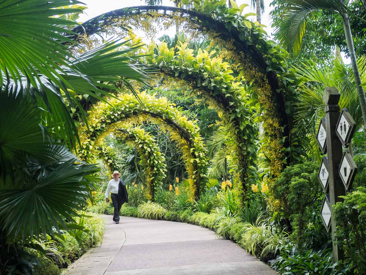 Itinerary for Singapore nature- Botanical Garden