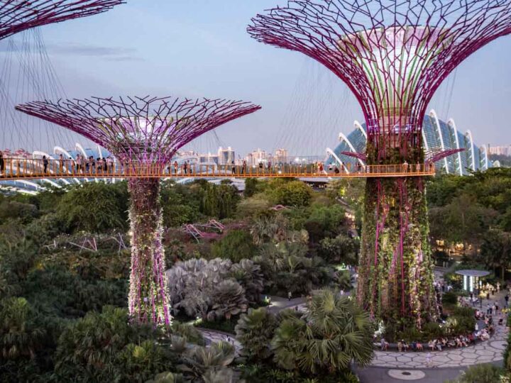 Singapore Itinerary for Art Gardens by the Bay