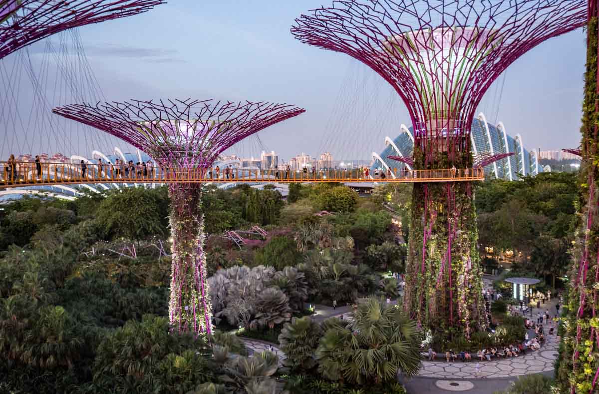 Singapore Itinerary for Art Gardens by the Bay