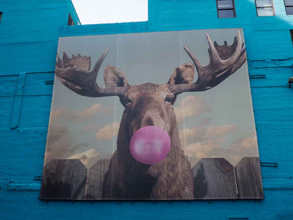 Moose mural on Wabash Corridor