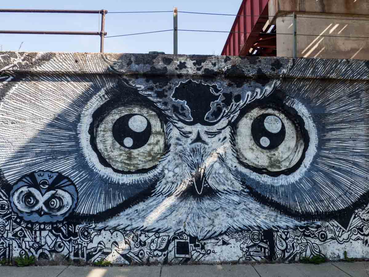 Owl wall mural in Pilsen Chicago