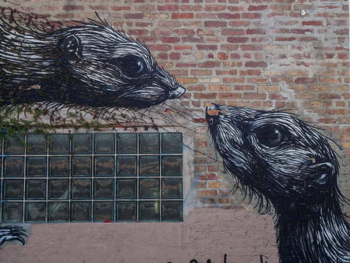 Chicago street art rats by ROA