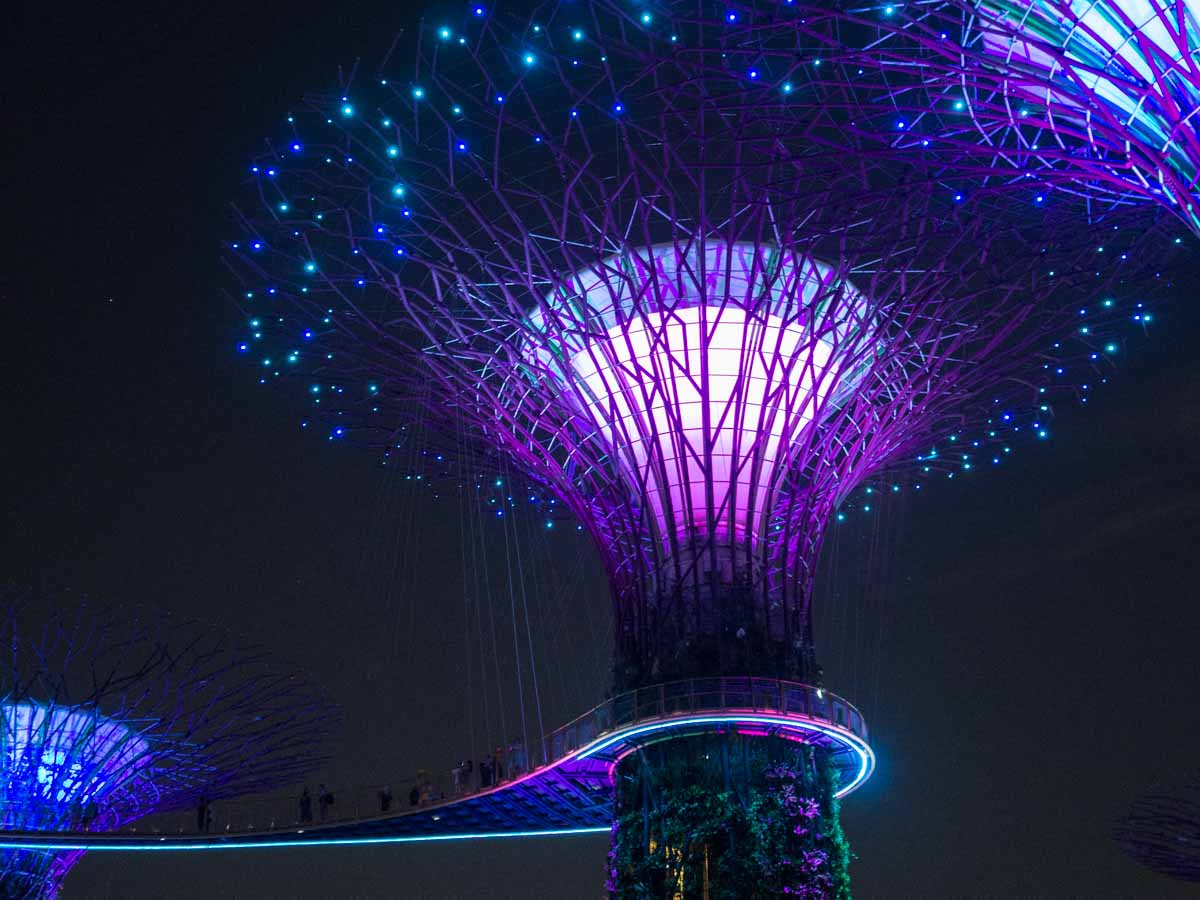Singapore Gardens by the Bay night