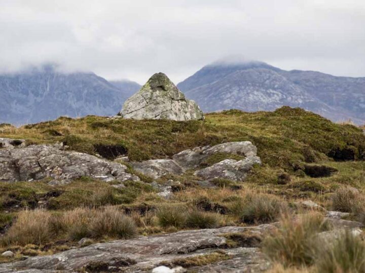 Ireland Galway Connemara Bog