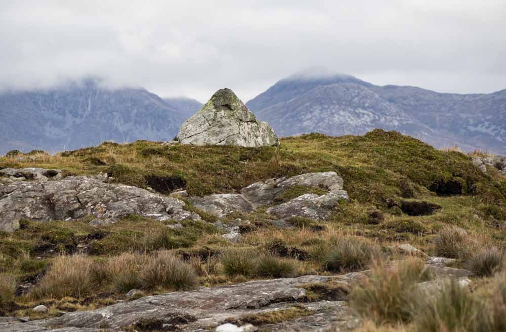 Ireland Galway Connemara Bog