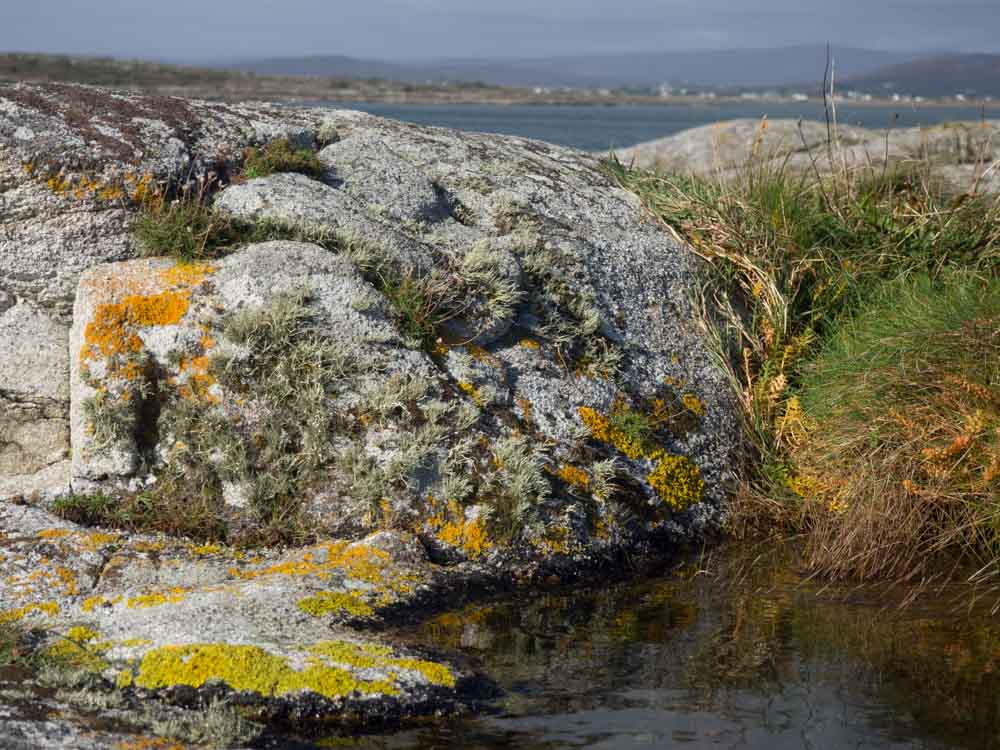 Ireland Wild Atlantic Way Tra An Doilin