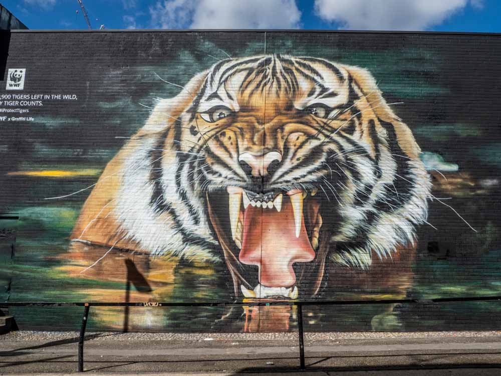 Shoreditch street art tiger by Graffiti Life