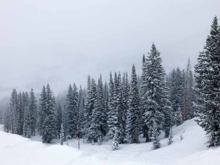 Ski Salt Lake City: Alta Ski Resort