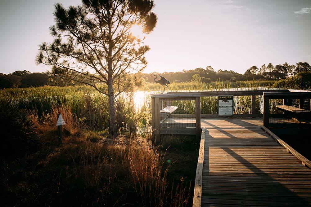Panama City Beach boardwalk