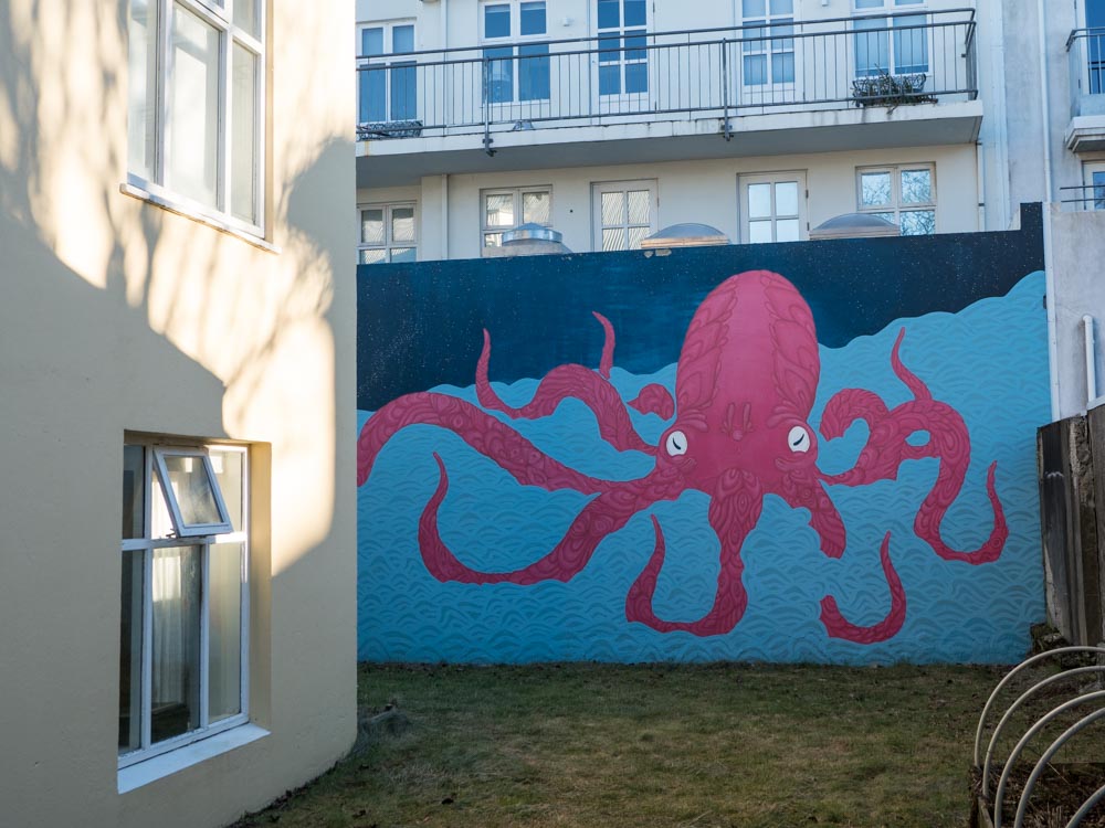 Reykjavik Iceland Street Art octopus