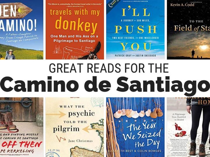 Camino de Santiago books