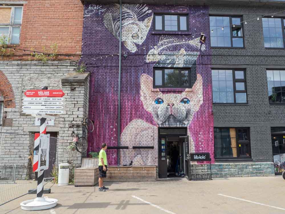 Tallinn Telliskivi Creative City purple Dog street art