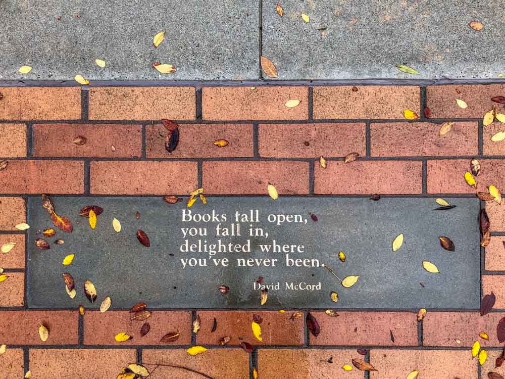 Books fall open, you fall in, delighted where you've never been. Book quote by David McCord. Bricks and leaves