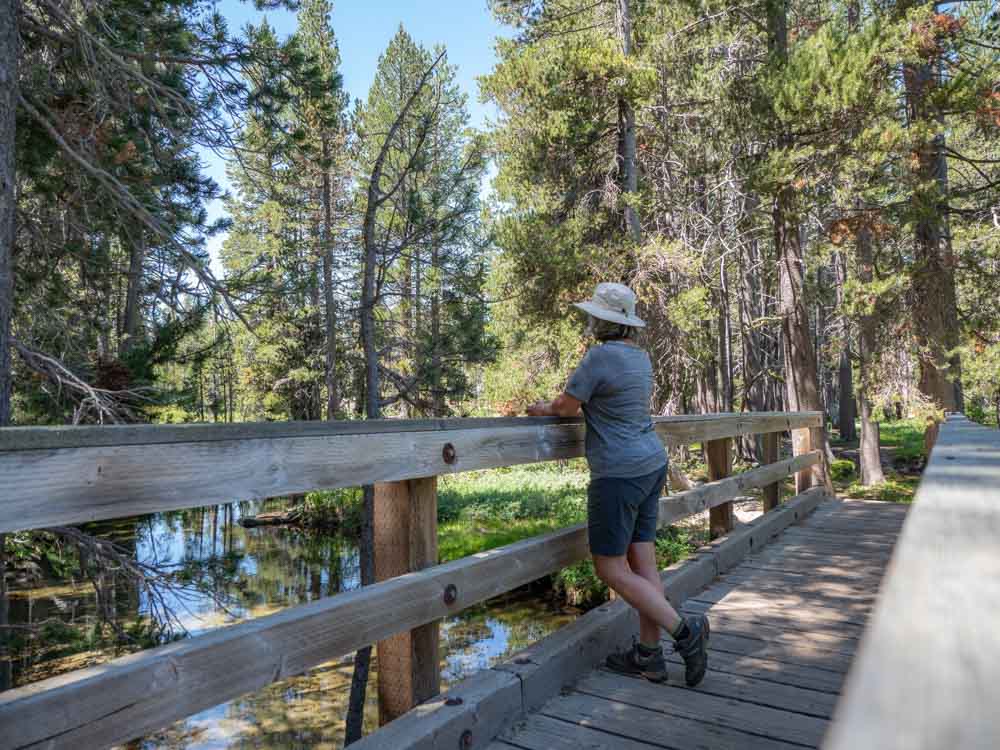 California El Dorado Forest hiker on bridge