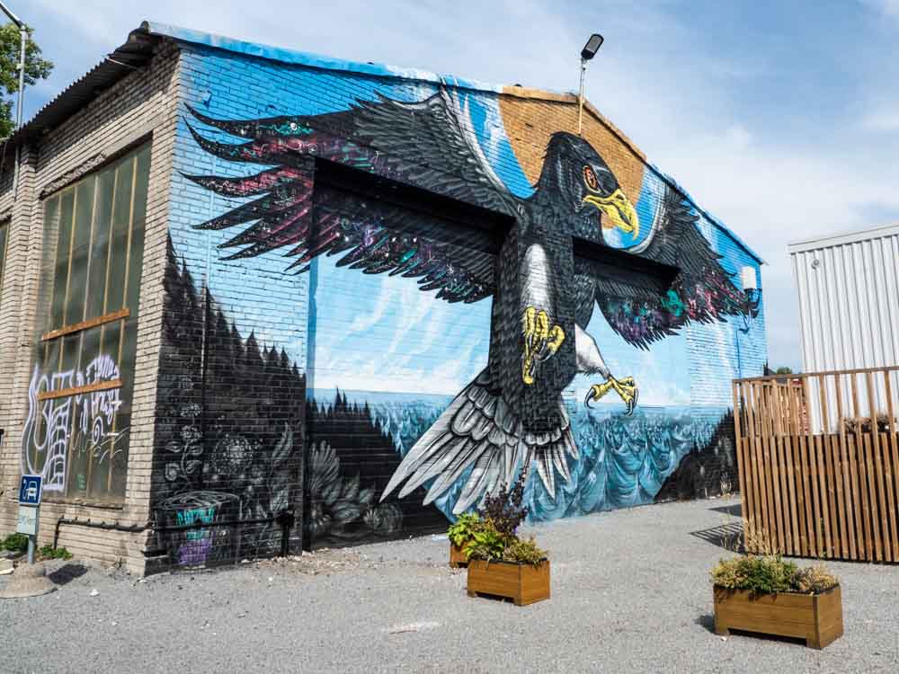 Tallinn street art mural endangered Estonian sea eagle by Cinzah Merkens