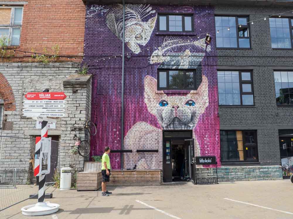 Tallinn street art purple cat with fish