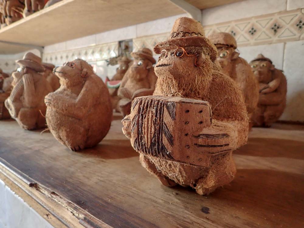 San Andr&eacute;s Colombia Cueva Morgan coconut display