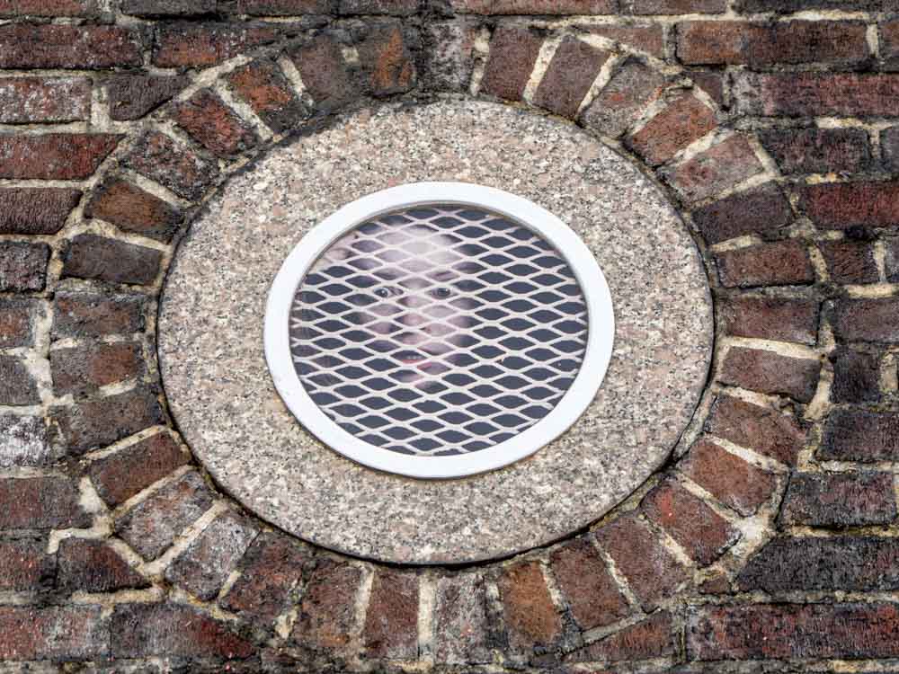 New York City urban art by Dan Witz