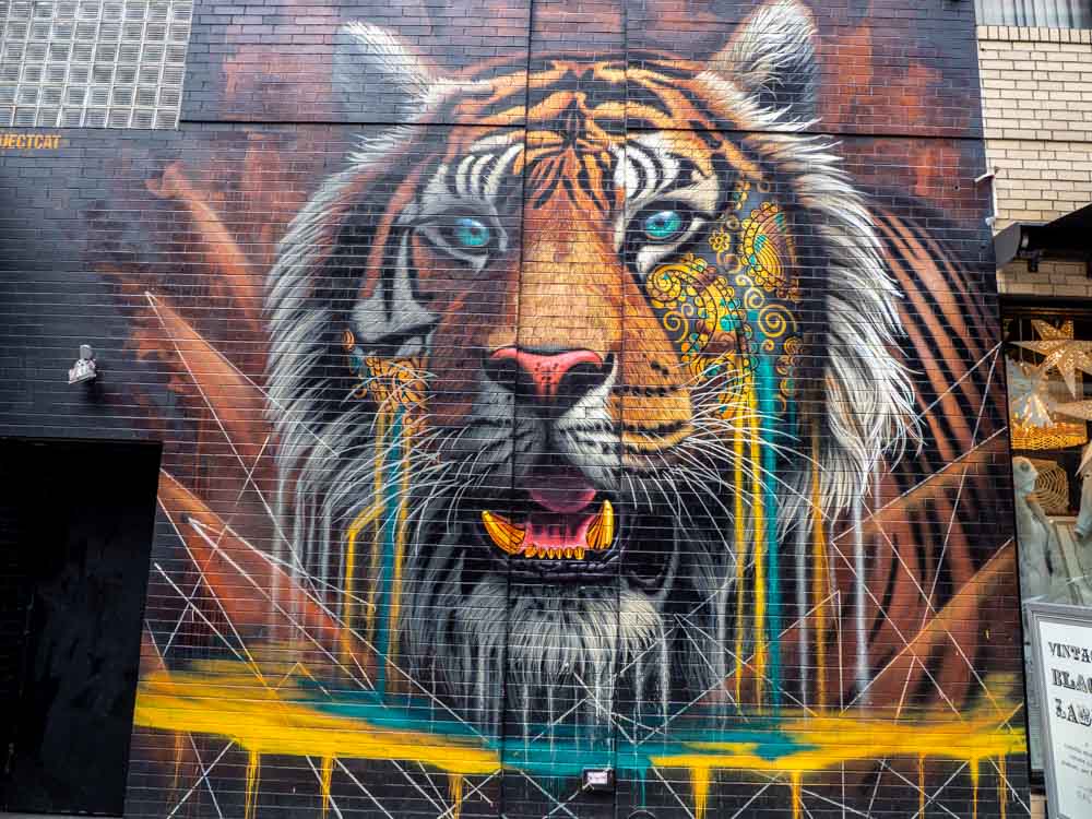 Street art tiger in NYC