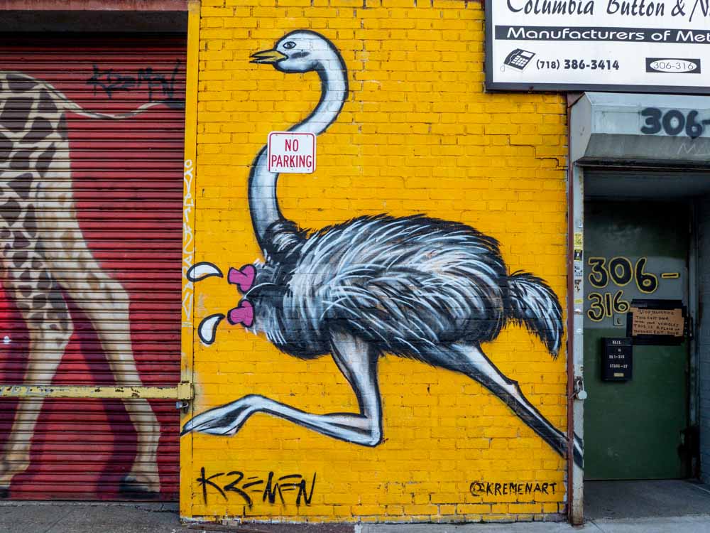 Street art of New York: Ostrich mural in Meresole district
