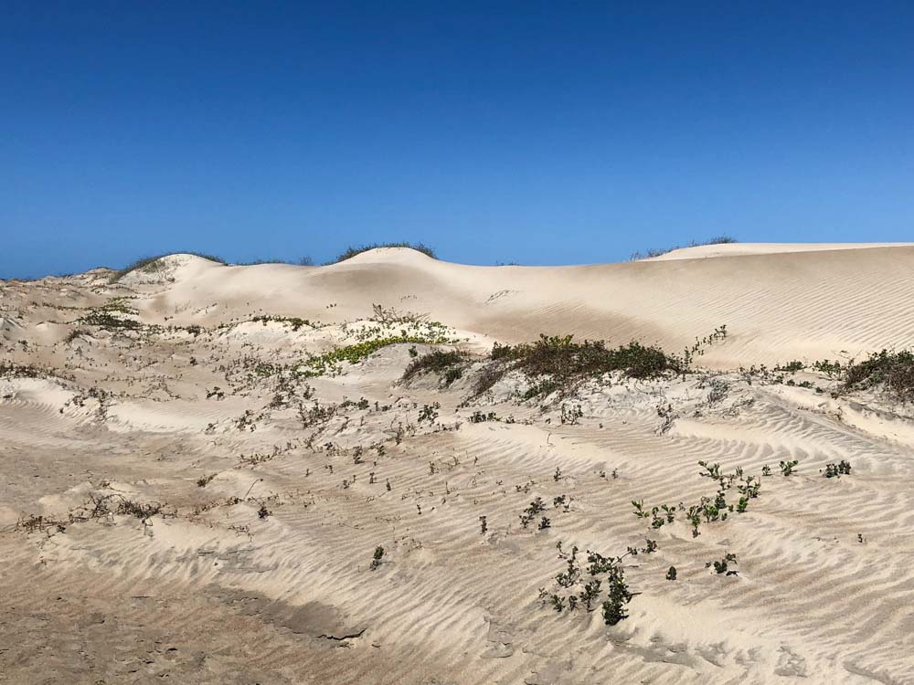 Magdalena bay Mexico sand dunes