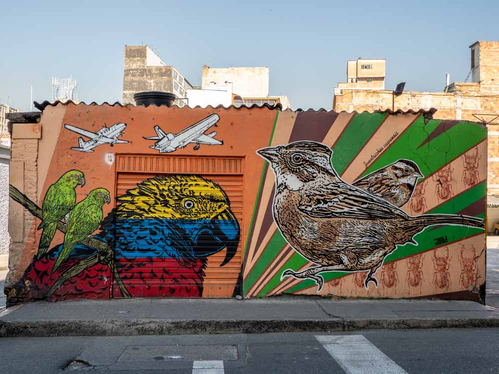 Collaborative mural in Bogota: lesivo and DJLU. Three parrots, airplanes and songbirds