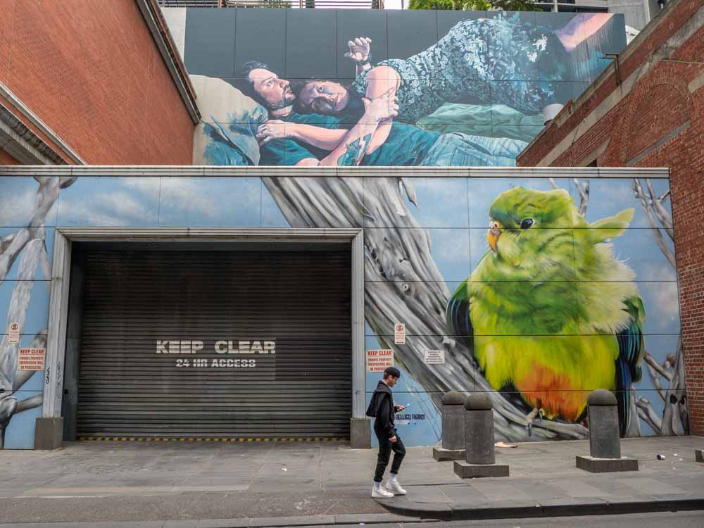 Dvate mural in Melbourne. Green and yellow bird with Fintan Magee mural above