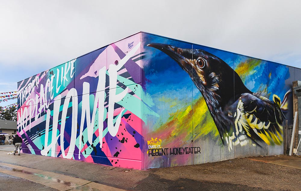 Wall to Wall mural festival Benalla Australia. Dvate mural
