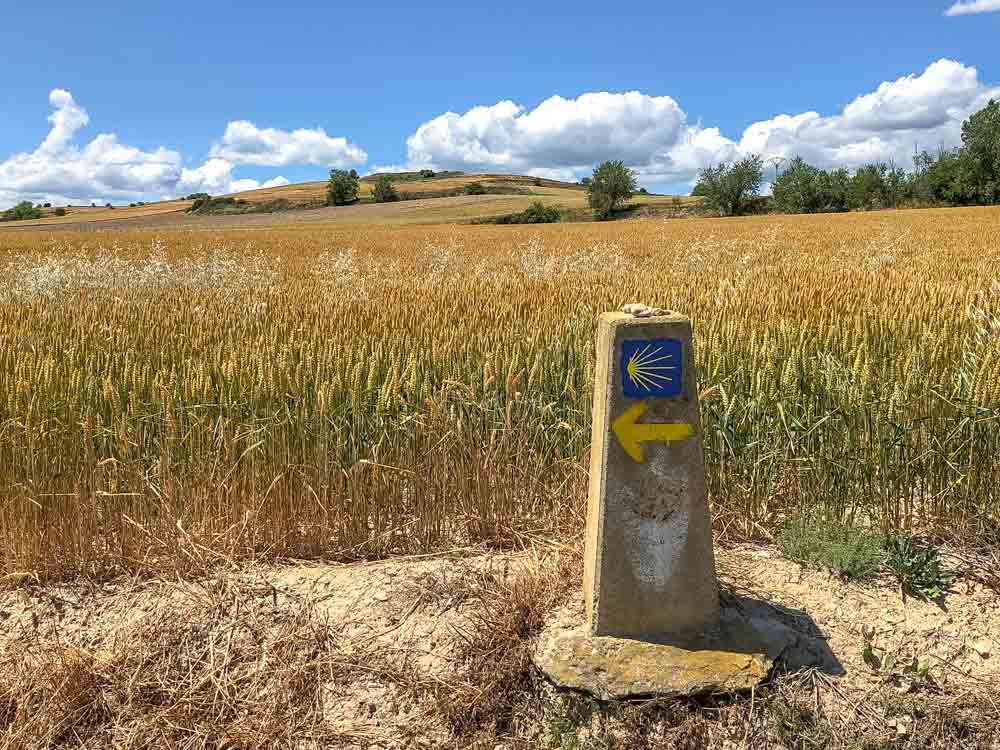 Camino de Santiago Spain: Way sign Frances trail
