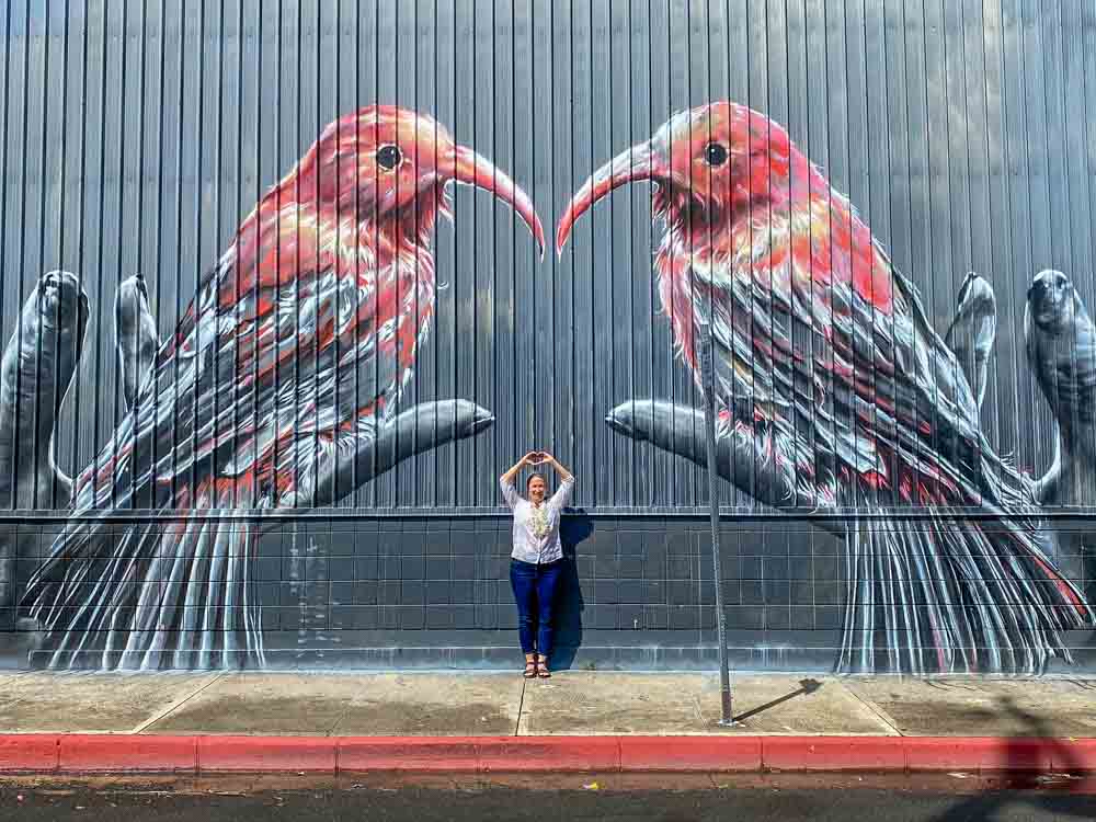 Christina Angelina bird mural Honolulu street art. Two red and grey birds in a heart shape