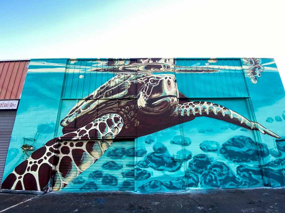 Green sea turtle mural in Honolulu by Kaulukukui