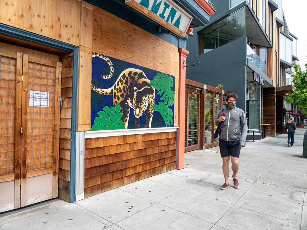 Sanfrancisco Street art Hayes valley tiger