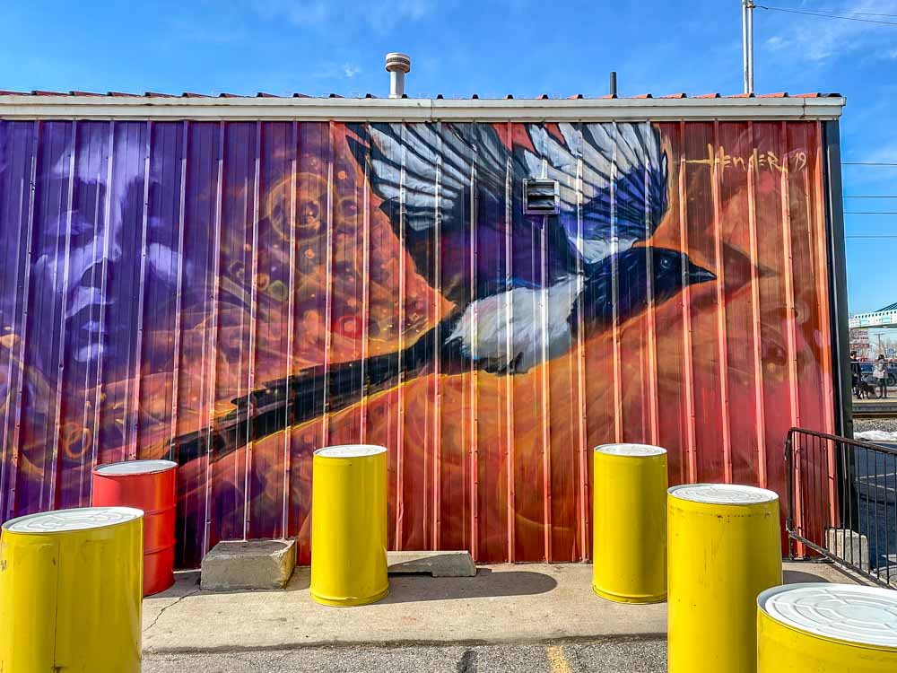 South Salt Lake City street art billy hensler. bird