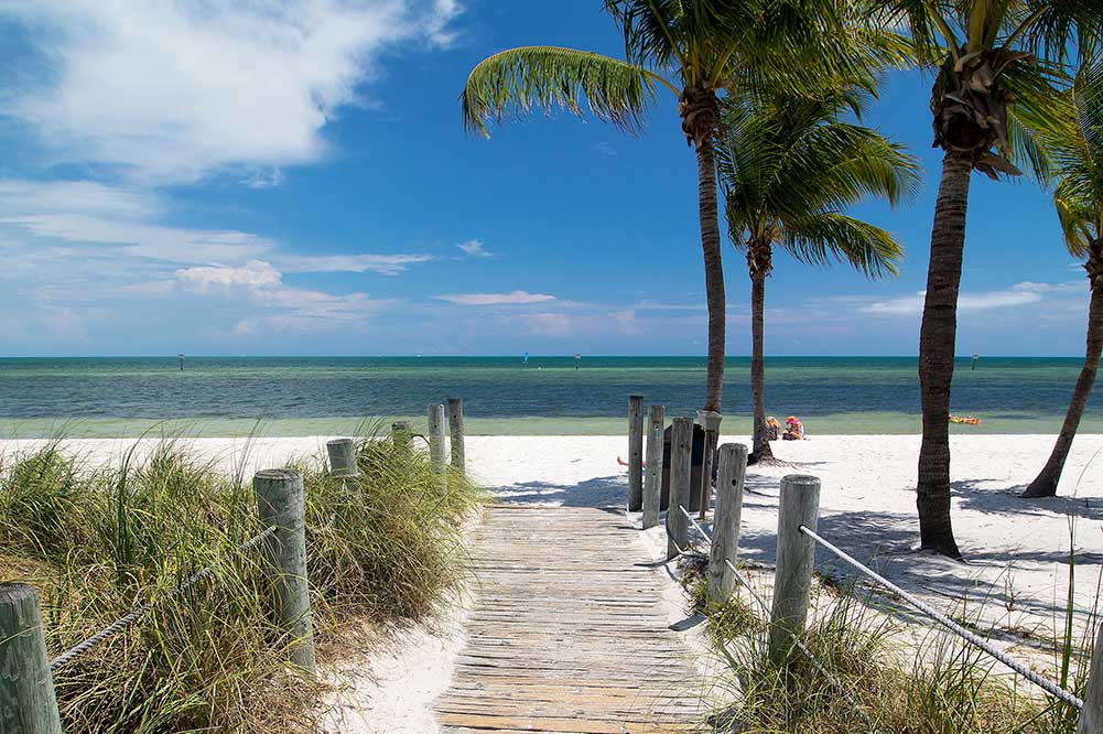 Smathers beach Key West. sand and palm trees