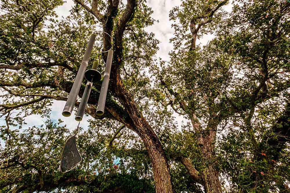 Singing Oak tree in New Orleans with wind chimes