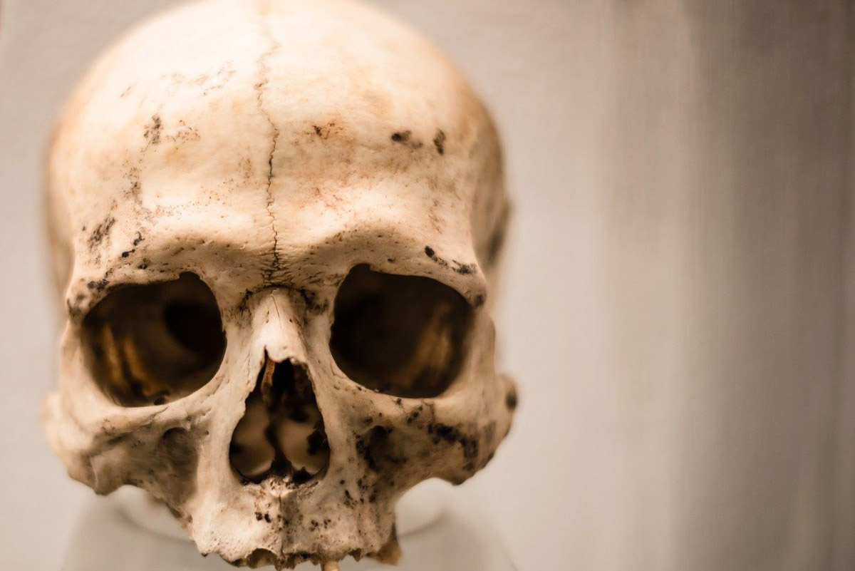 New Orleans museum of death skull
