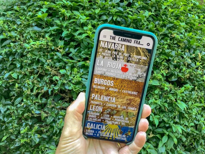 Camino apps iPhone screen