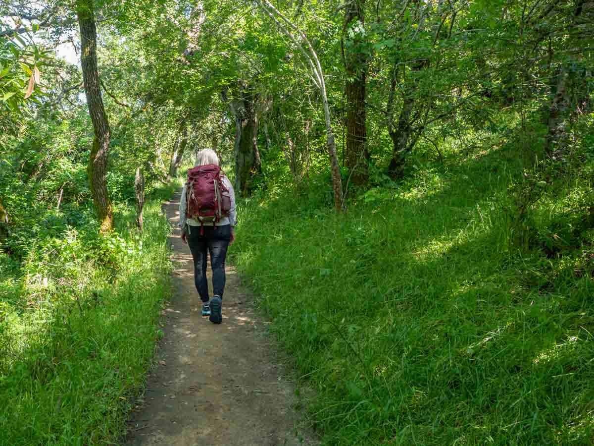 Camino de Santiago training walk in the woods
