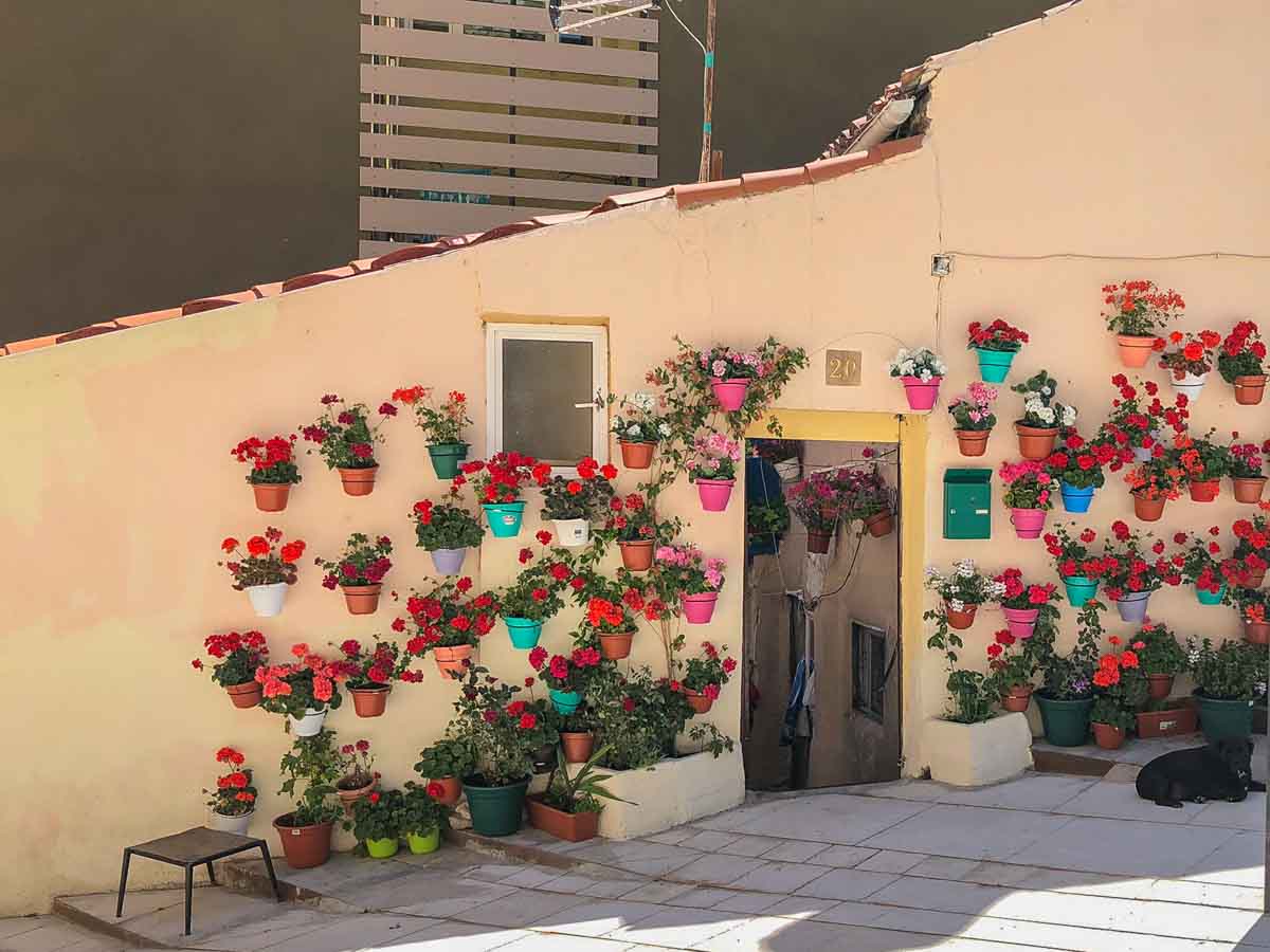 Flowery street downtown Burgos, Spain