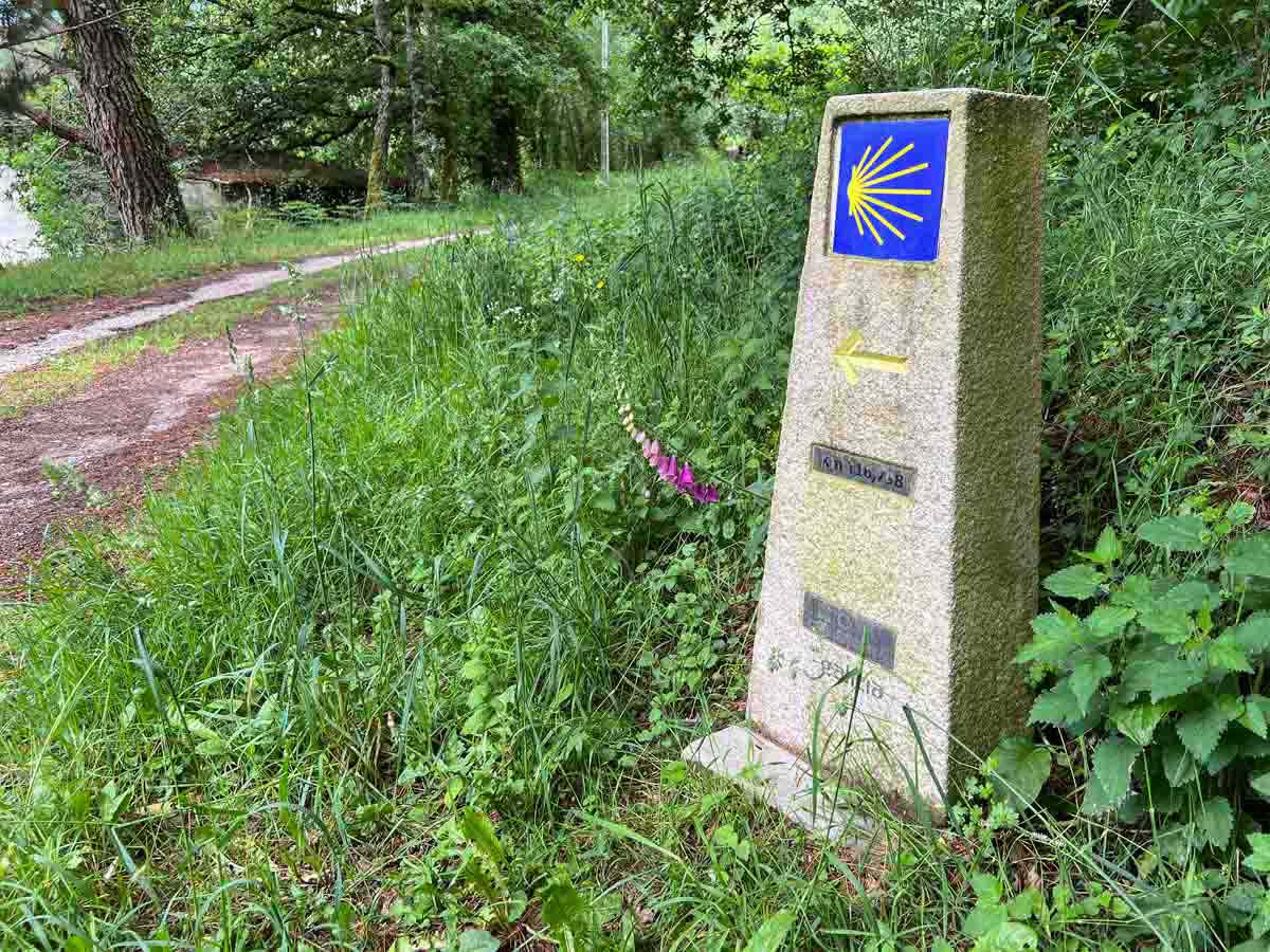 Way marker Camino Primitivo. With forest path